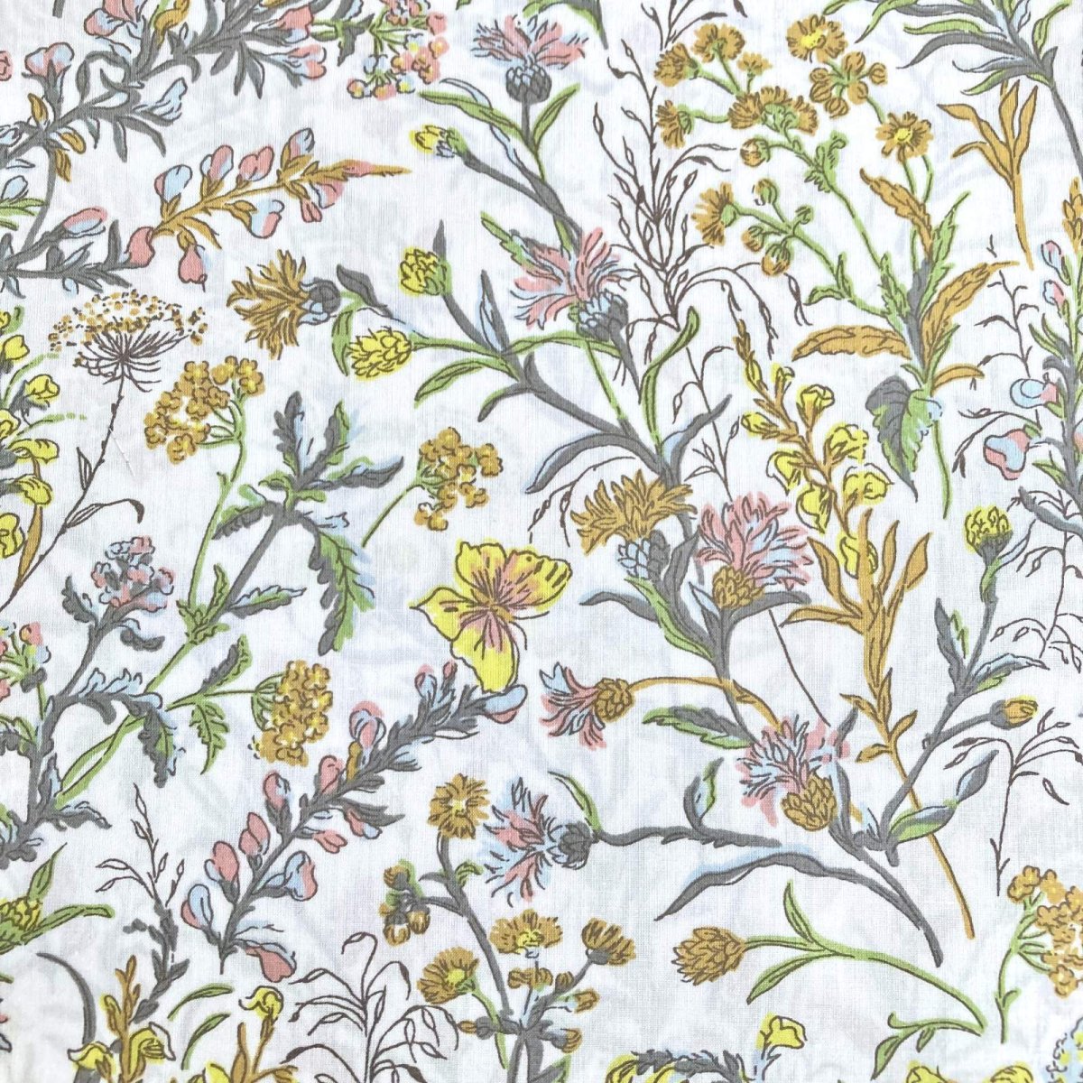 Photo1: Butterfly Meadow (1)