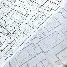 Photo5: Blue Prints (5)