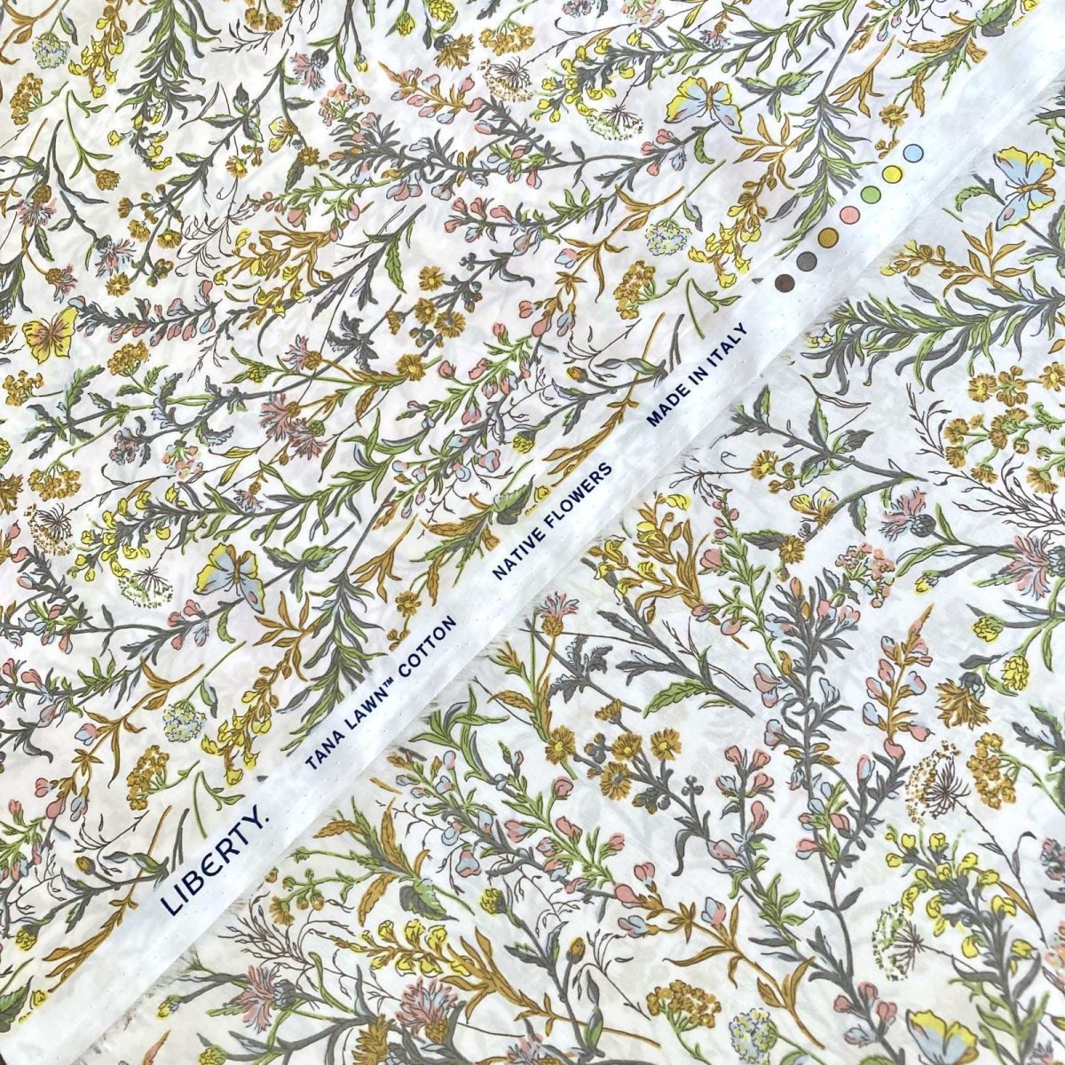 Photo3: Butterfly Meadow (3)