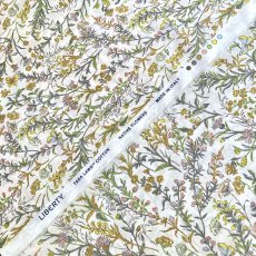 Photo3: Butterfly Meadow (3)