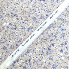 Photo3: Wandervogel (3)