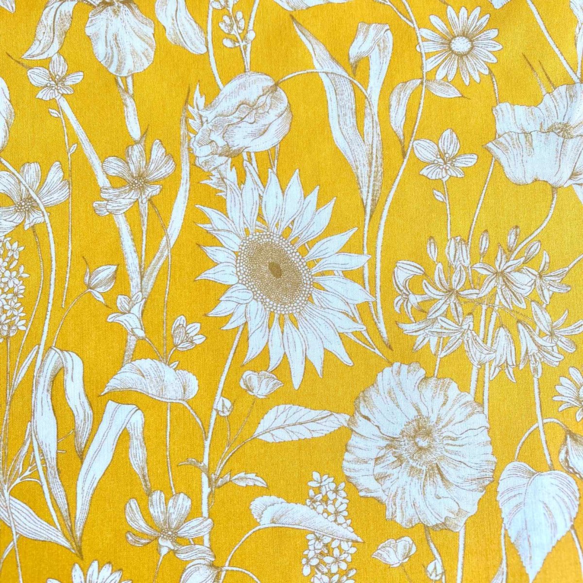 Photo1: Mono Muse (1)