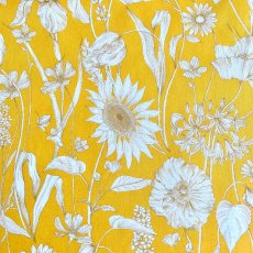 Photo1: Mono Muse (1)