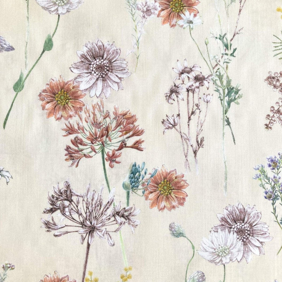 Photo1: Polka Floral (1)