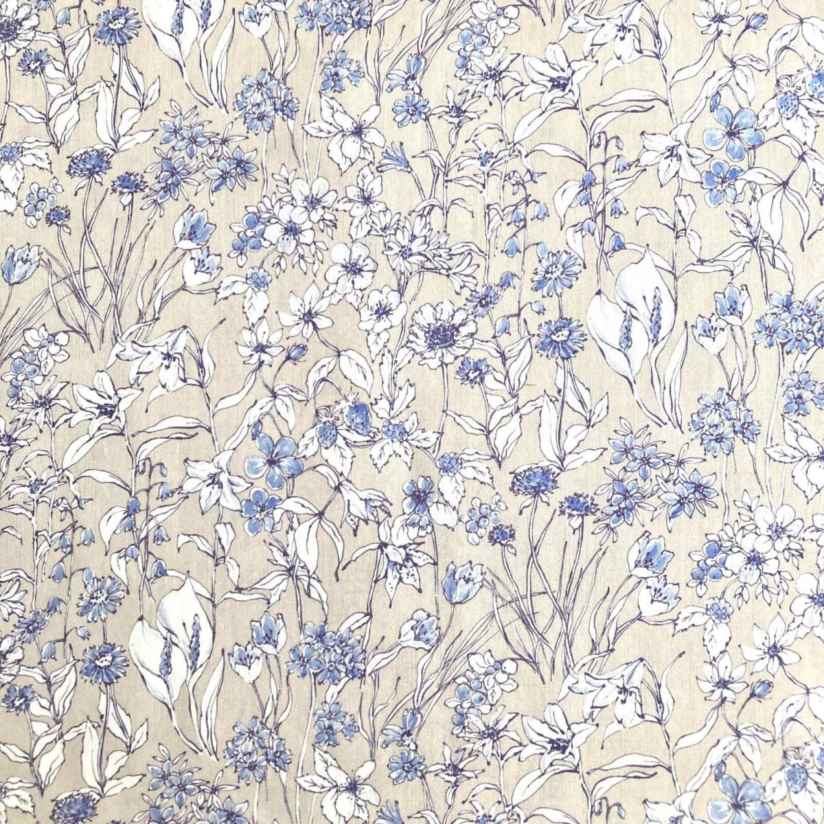 Photo2: Wandervogel (2)