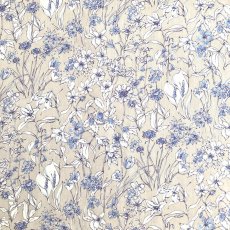 Photo2: Wandervogel (2)