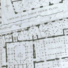 Photo3: Blue Prints (3)