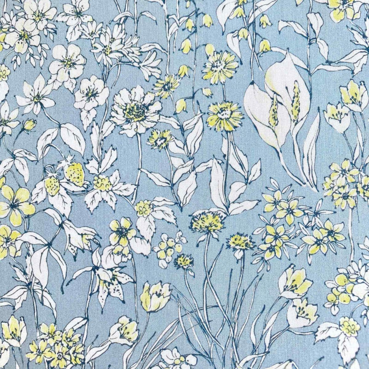 Photo10: Wandervogel (10)