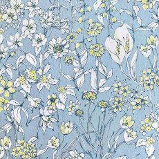 Photo10: Wandervogel (10)