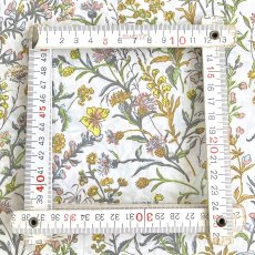 Photo5: Butterfly Meadow (5)