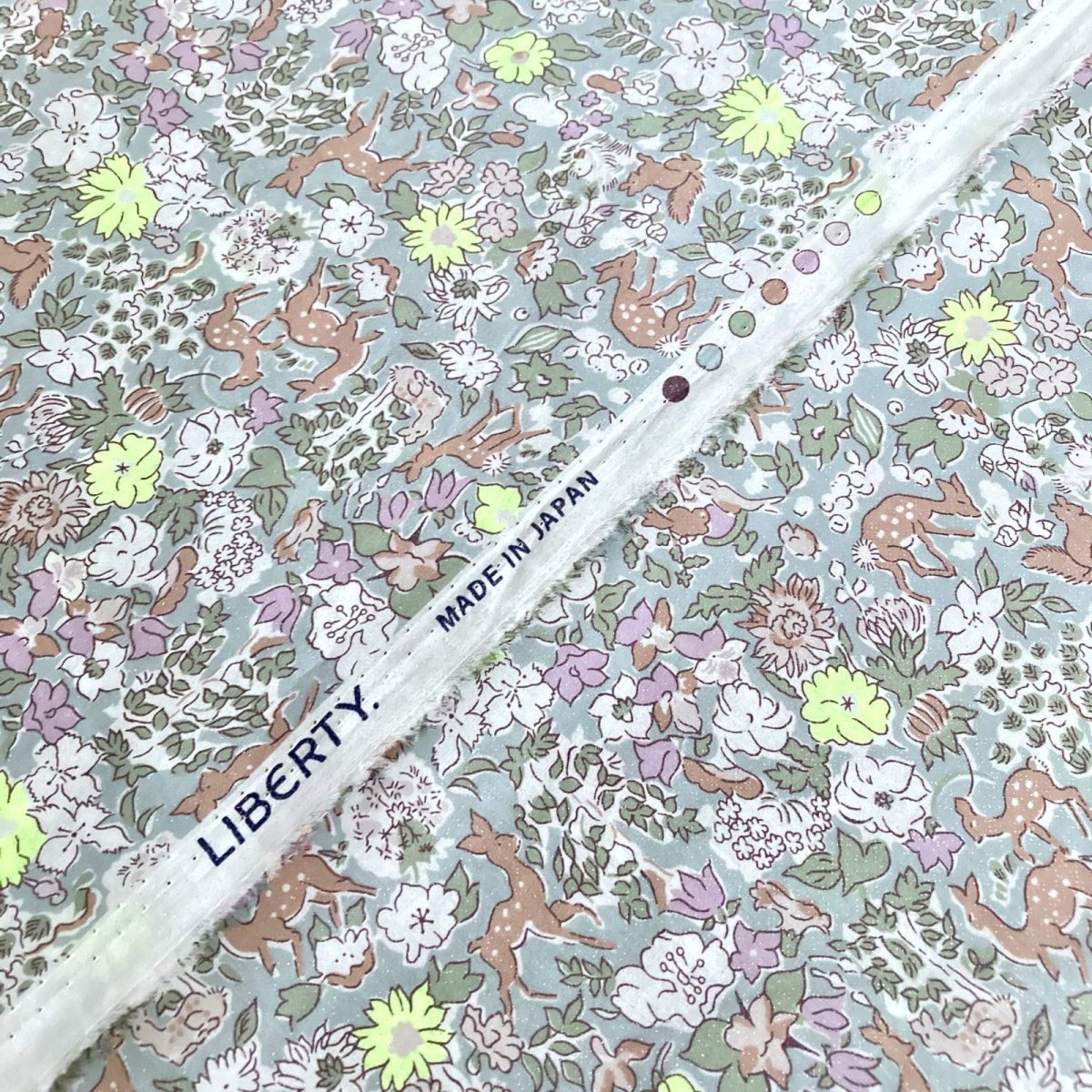 Photo8: Fergus【Neon Splash】 (8)