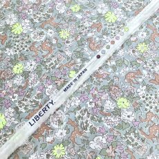 Photo8: Fergus【Neon Splash】 (8)