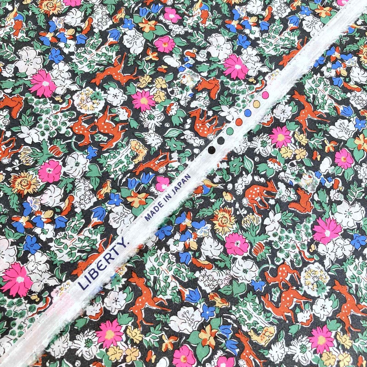 Photo4: Fergus【Neon Splash】 (4)