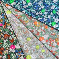 Photo1: Fergus【Neon Splash】 (1)