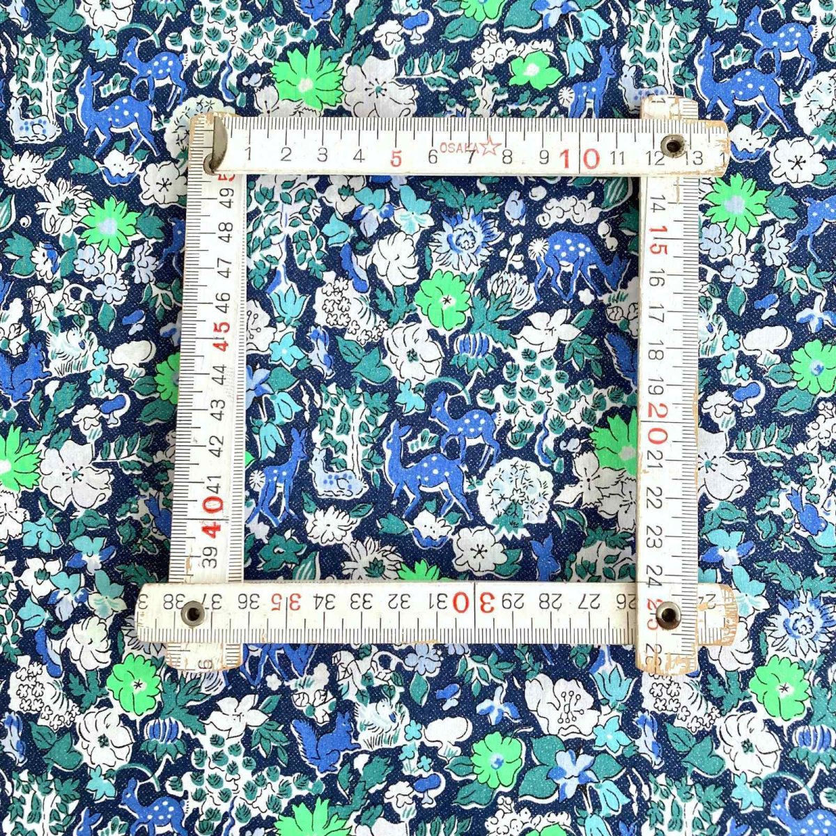 Photo18: Fergus【Neon Splash】 (18)