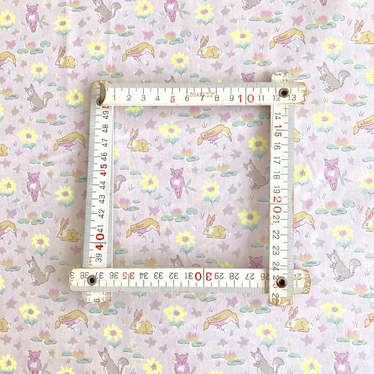 Photo5: Oscar【Neon Splash】 (5)