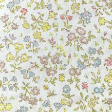 Photo1: Meadow Sweet (1)