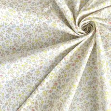 Photo3: Meadow Sweet (3)