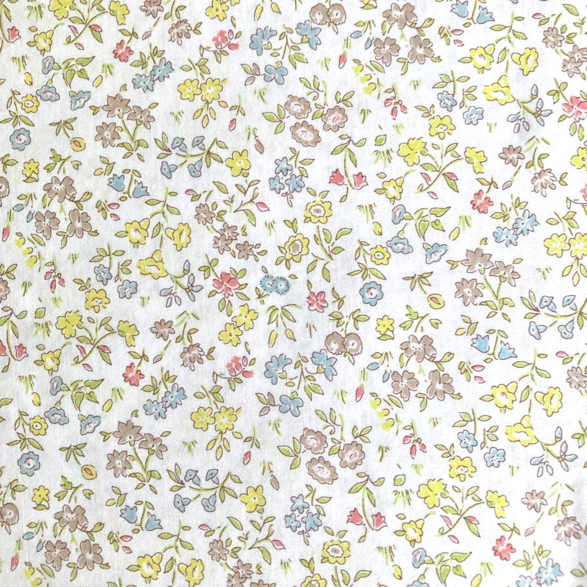 Photo4: Meadow Sweet (4)