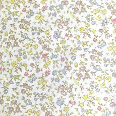 Photo4: Meadow Sweet (4)