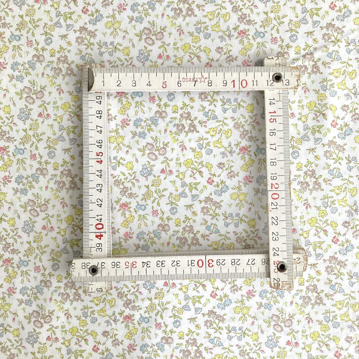 Photo5: Meadow Sweet (5)