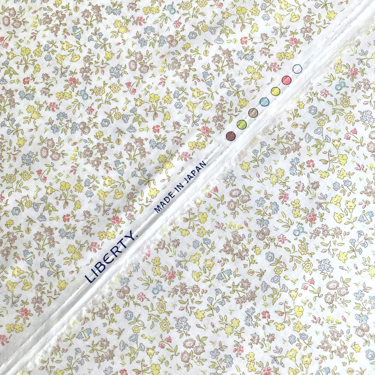 Photo2: Meadow Sweet (2)