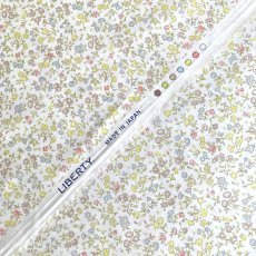 Photo2: Meadow Sweet (2)