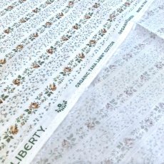 Photo3: Evie Stripe (3)