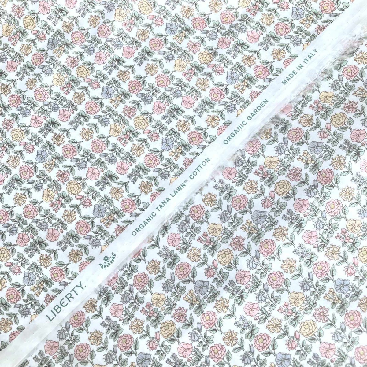 Photo3: Davalia Flowers (3)