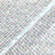 Photo3: Davalia Flowers (3)