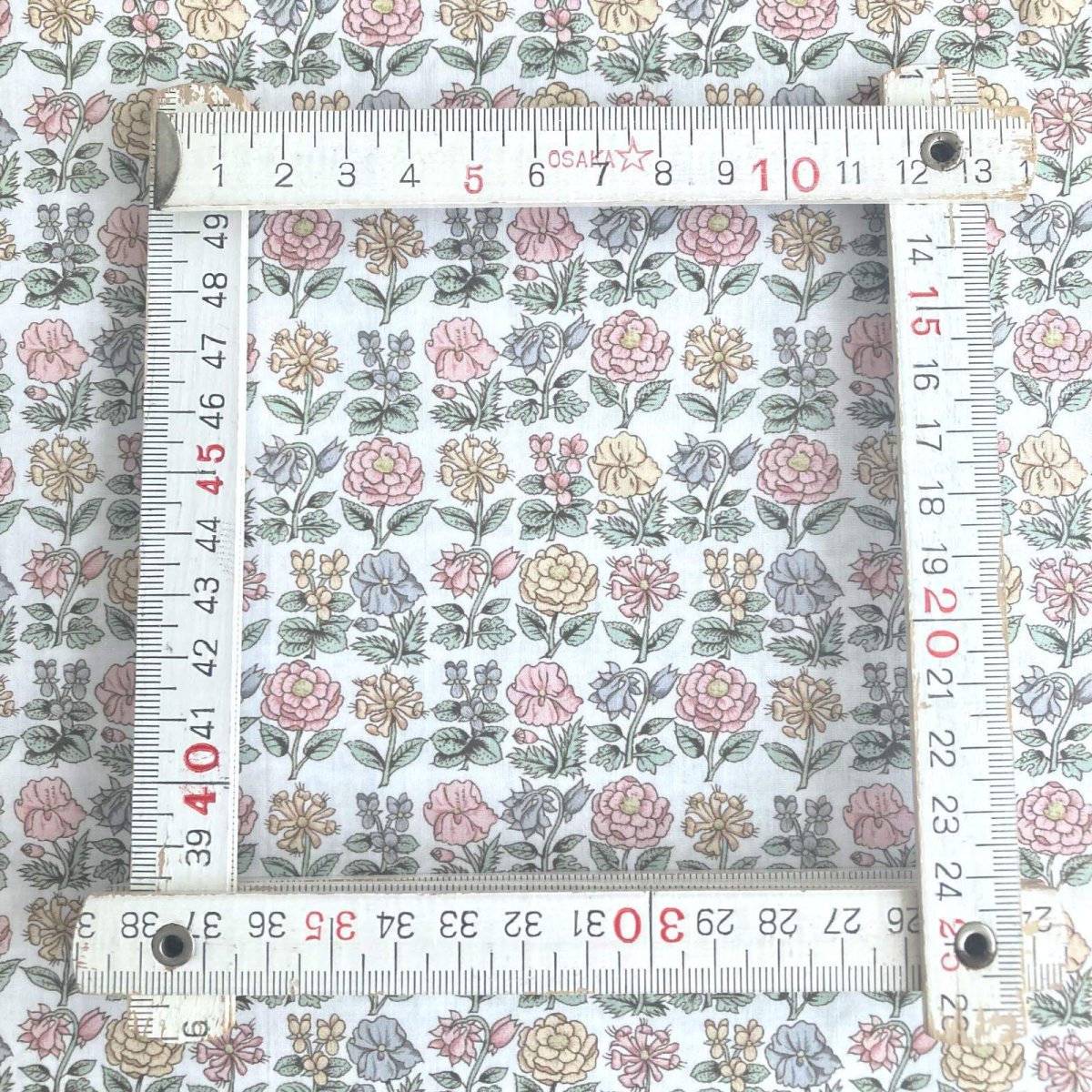 Photo5: Davalia Flowers (5)