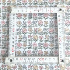 Photo5: Davalia Flowers (5)