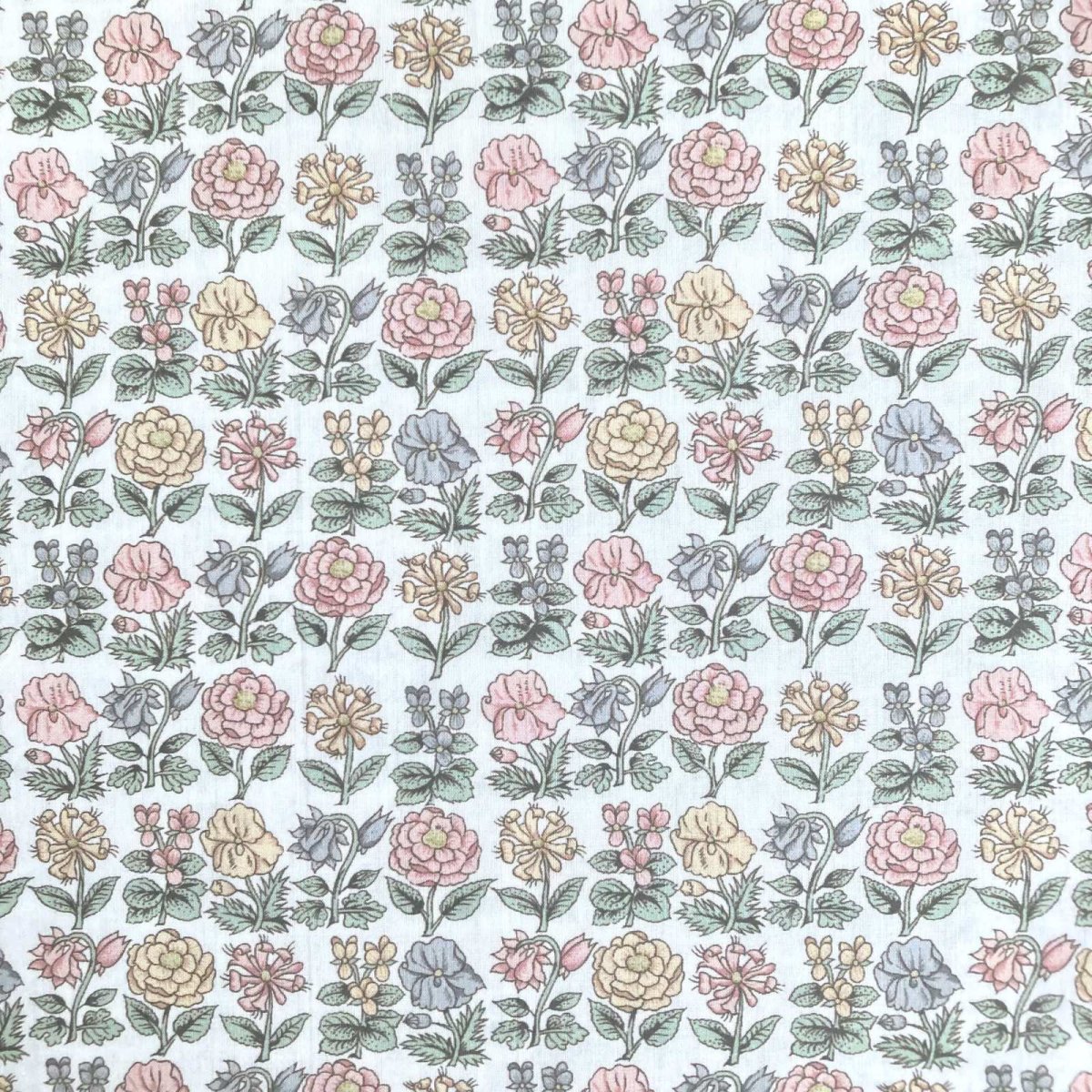 Photo2: Davalia Flowers (2)