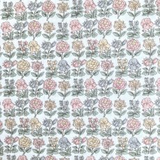 Photo2: Davalia Flowers (2)