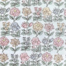 Photo1: Davalia Flowers (1)