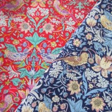 Photo1: Strawberry Thief (1)