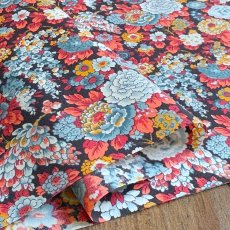 Photo2: Elysian【Poplin】 (2)