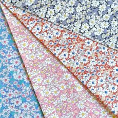 Photo1: Alice W【Poplin】 (1)