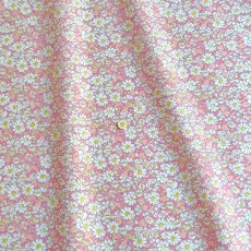 Photo7: Alice W【Poplin】 (7)